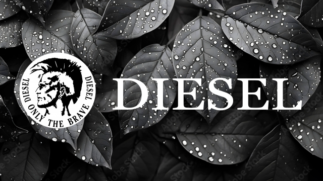 Канал Diesel Дзен