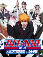 Bleach: Awakened Souls - Shinigami