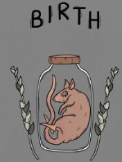 Birth