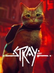 Stray