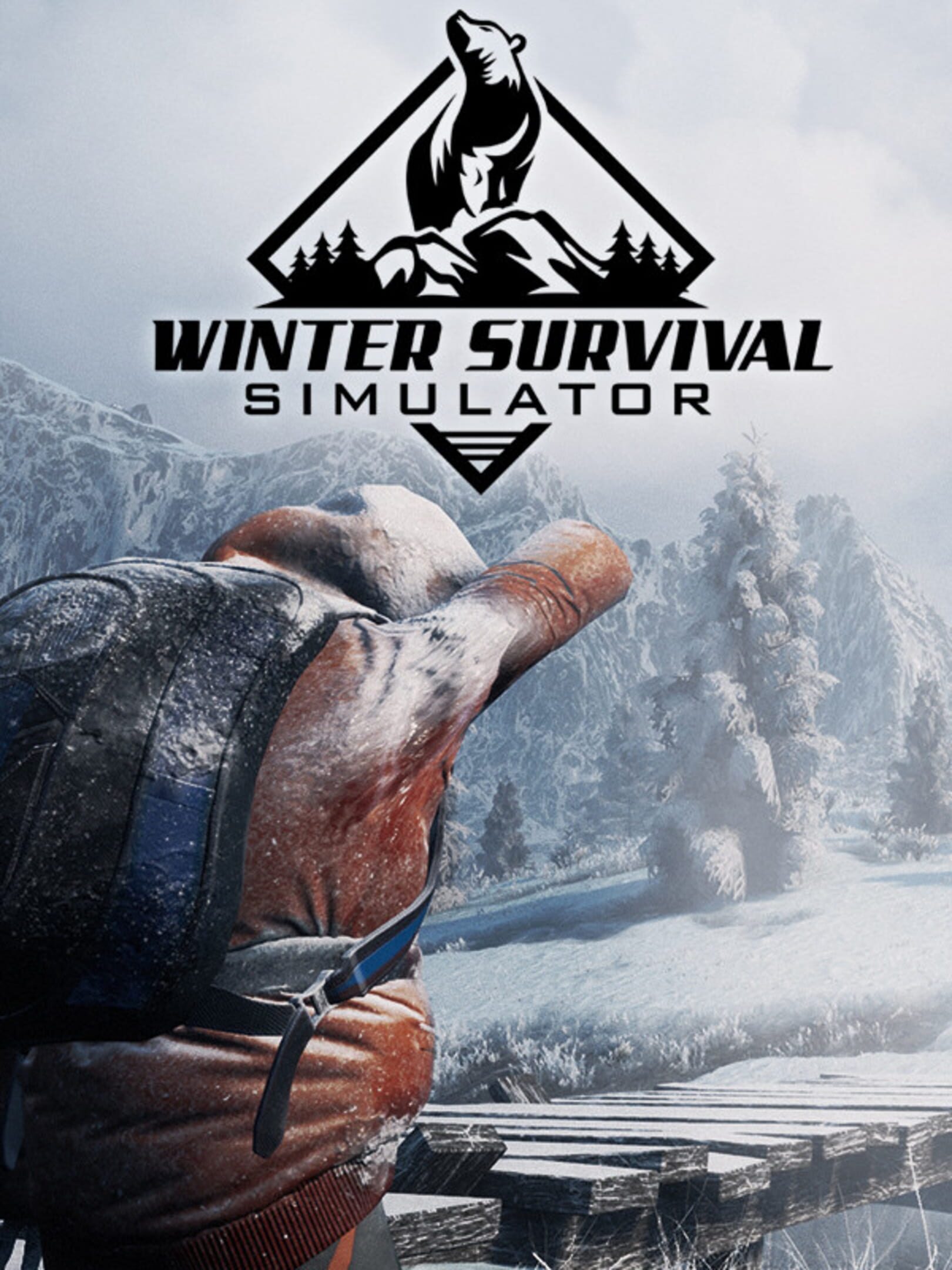 Винтер сурвивал. Winter Survival. Игра Винтер сурвивал. Survival зима.