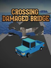 Crossing Damaged Bridge