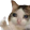 purrchannel2