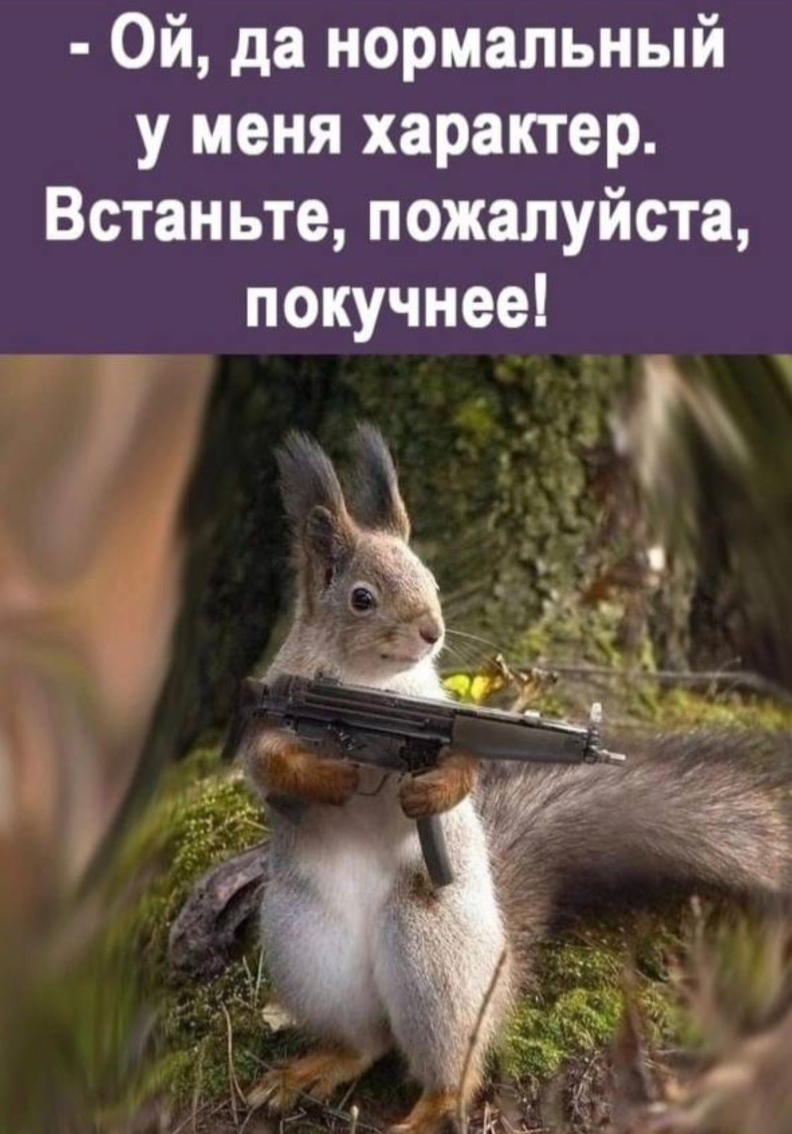 Картинки прикольные смешные для настроения